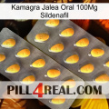 Kamagra Oral Jelly 100Mg Sildenafil cialis2